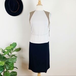 Francisco Costa for Calvin Klein dress